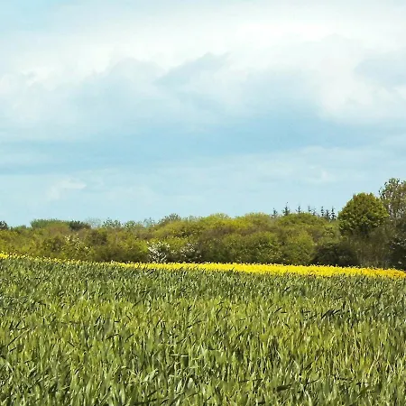 בית נופש 20 Person In Nordborg-by Traum